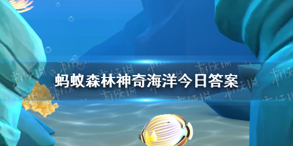 以下哪种海洋动物的外壳是典型的爱心形状 神奇海洋5月28日答案